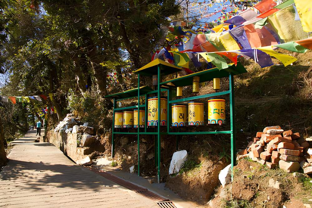 Dharamshala 2 Nights 3 Days Tour Package - Himachal Pradesh tour photo
