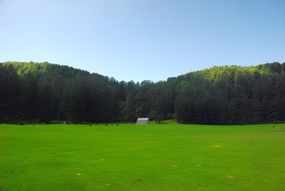Dharamshala Dalhousie Khajjiar Tour Package from Bangalore - Himachal Pradesh tour photo