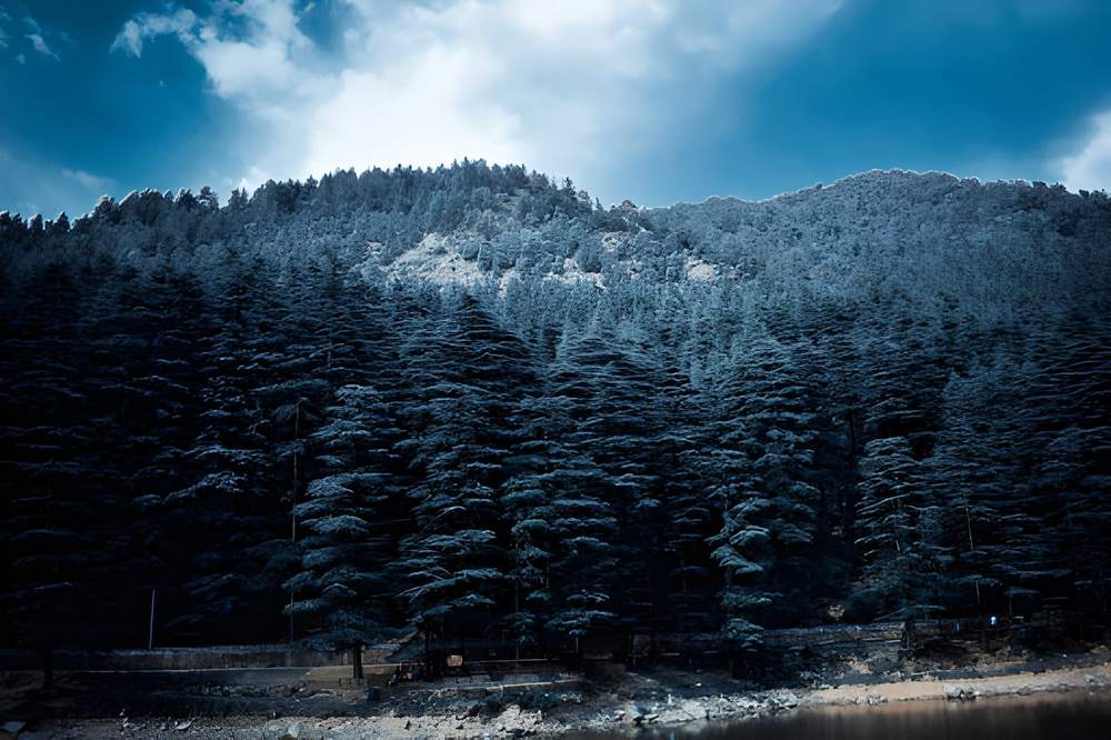 Dharamshala Dalhousie Khajjiar Tour Package from Trivandrum - Himachal Pradesh tour photo