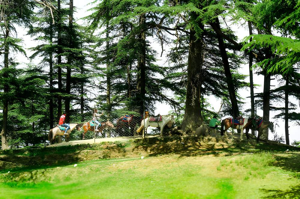 Dharamshala Dalhousie Khajjiar Tour Package from Udaipur - Himachal Pradesh tour photo