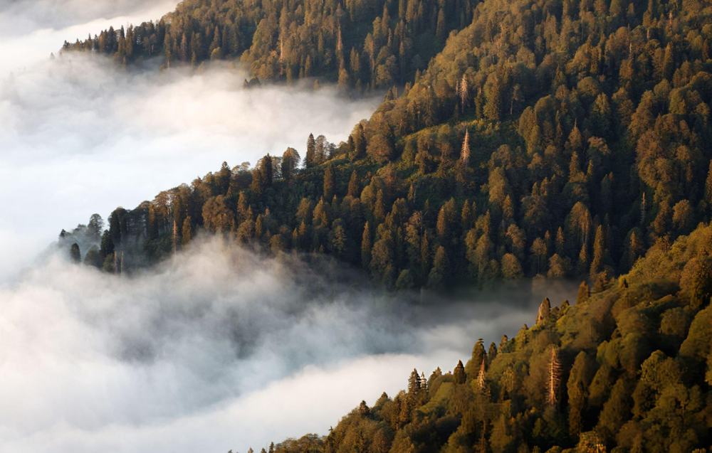 Dharamshala Dalhousie Tour Package from Ludhiana - Himachal Pradesh tour photo