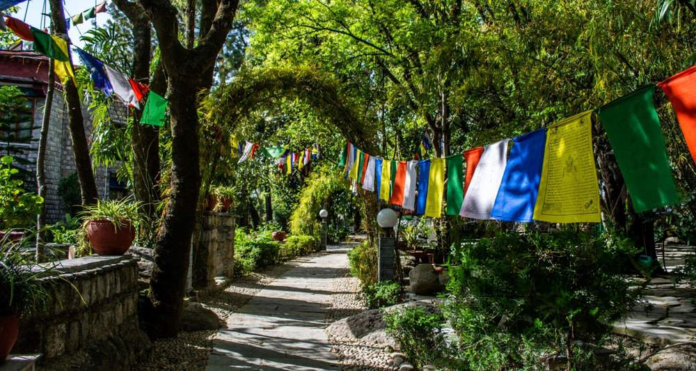 Dharamshala Dalhousie Tour Package from Trivandrum - Himachal Pradesh tour photo