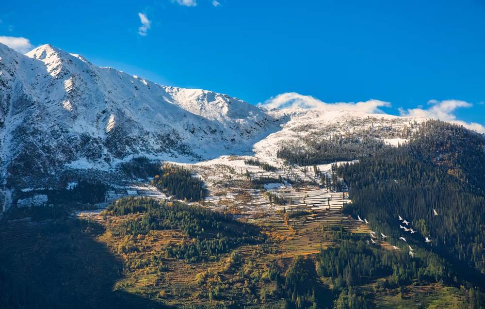 Dharamshala Dalhousie Tour Packages - Himachal Pradesh tour photo