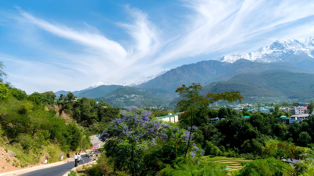 Dharamshala Tour Package from Amritsar - Himachal Pradesh tour photo