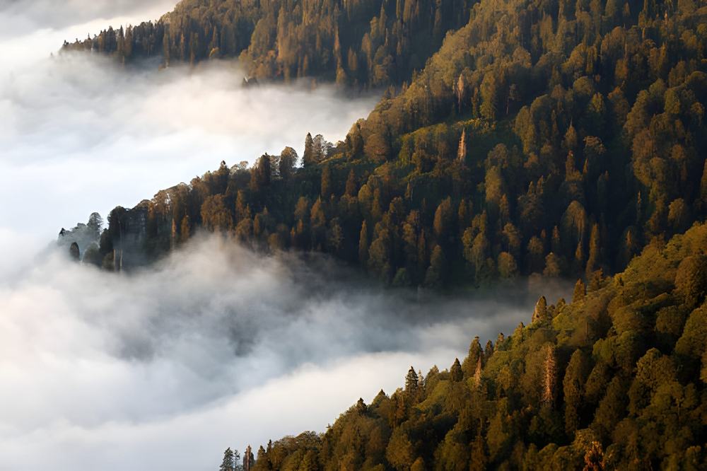 Dharamshala Tour Package from Pathankot - Himachal Pradesh tour photo