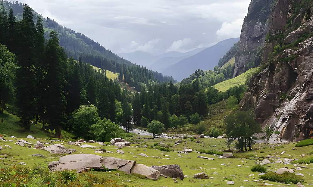 Himachal 6 Nights 7 Days Itinerary - Himachal Pradesh tour photo
