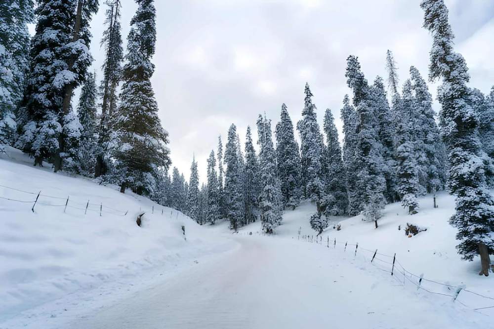 Himachal Tour Package 3 Days - Himachal Pradesh tour photo