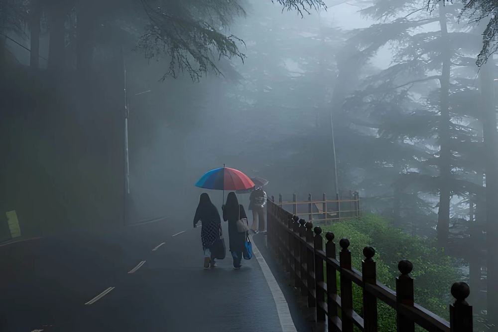 Himachal Tour Package Review - Himachal Pradesh tour photo