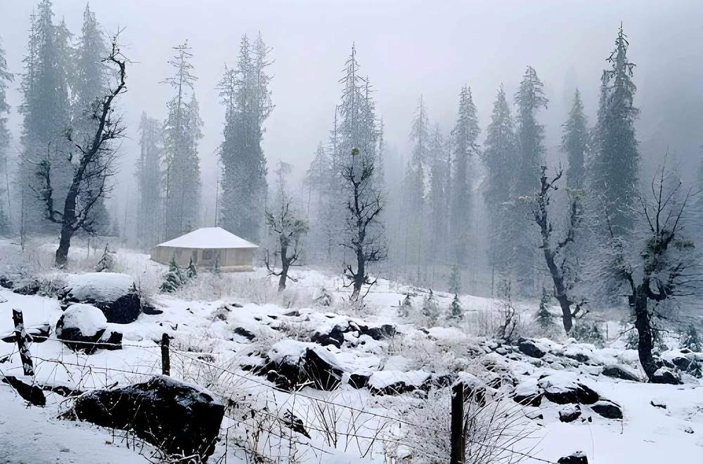 Himachal Tour Packages Itinerary - Himachal Pradesh tour photo