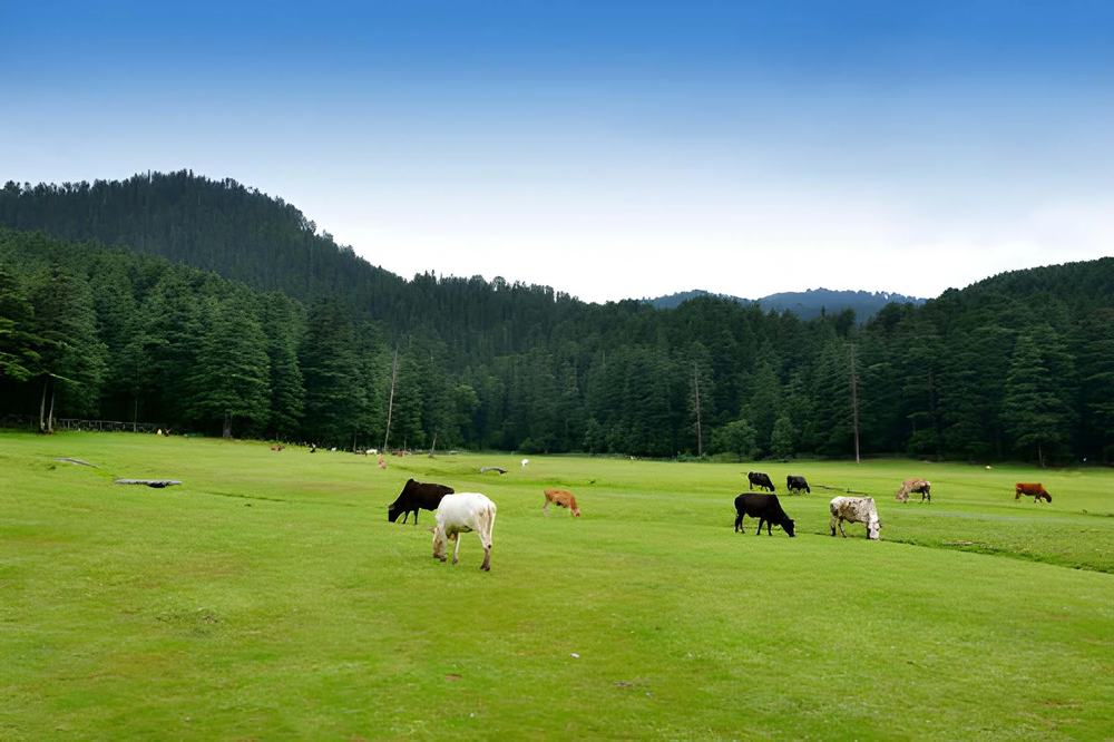 Jalandhar to Himachal Tour Package - Himachal Pradesh tour photo