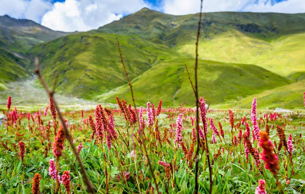 Kinnaur Kalpa Tour Package from Mumbai - Himachal Pradesh tour photo