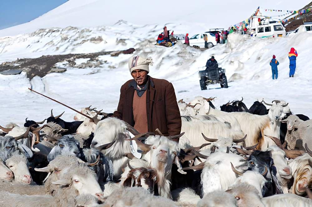 Kullu Manali Tour Package by Flight from Mumbai - Himachal Pradesh tour photo