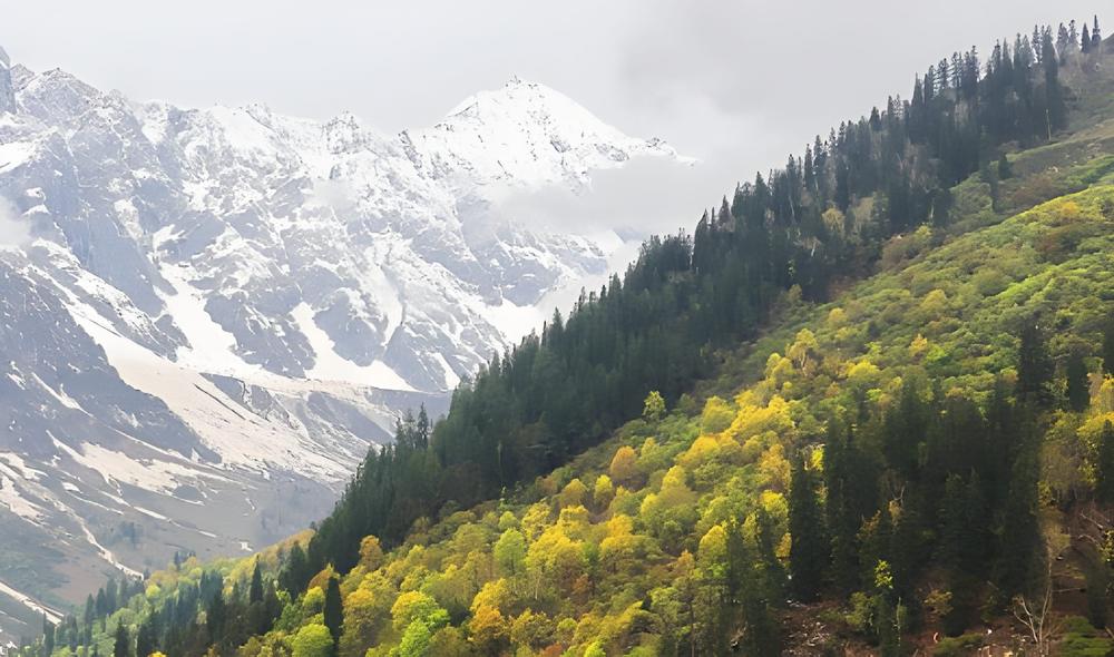 Kullu - Himachal Pradesh tour photo