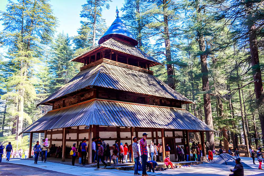 Manali Tour Package from Chennai - Himachal Pradesh tour photo