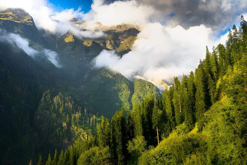 Manali Tour Package from Delhi for 3 Days - Himachal Pradesh tour photo