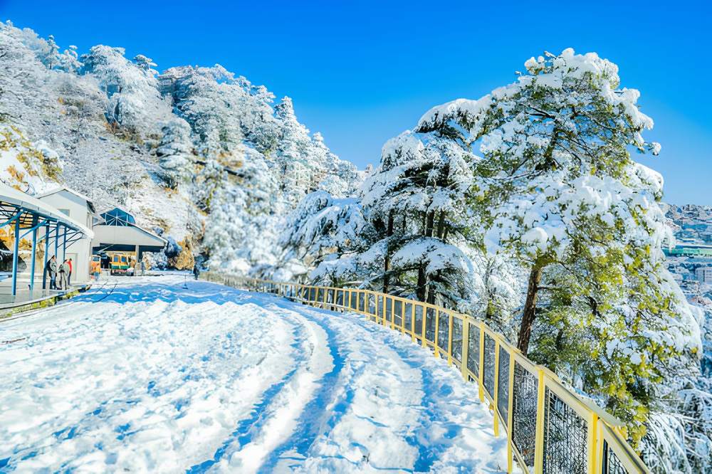 Shimla Kullu Manali Tour Package from Amritsar - Himachal Pradesh tour photo