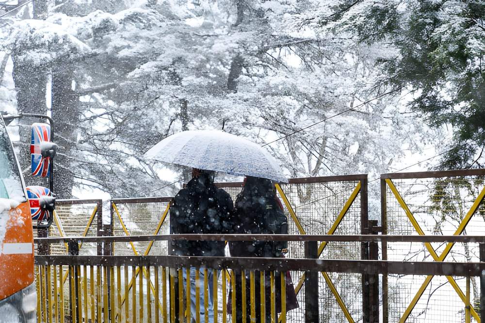 Shimla Kullu Manali Tour Package from Bikaner - Himachal Pradesh tour photo