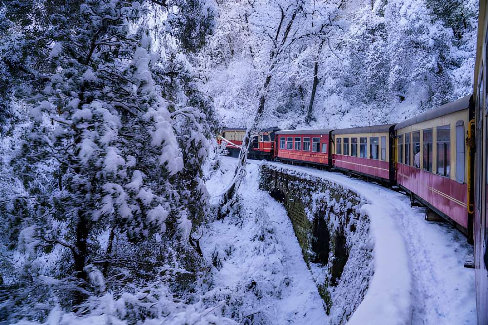 Shimla Kullu Manali Tour Package from Durgapur - Himachal Pradesh tour photo