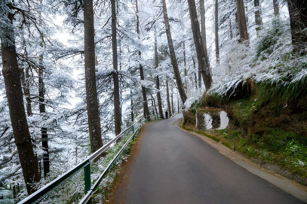 Shimla Kullu Manali Tour Package from Gurgaon - Himachal Pradesh tour photo