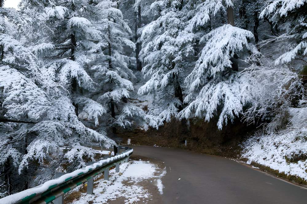 Shimla Kullu Manali Tour Package from Trivandrum - Himachal Pradesh tour photo
