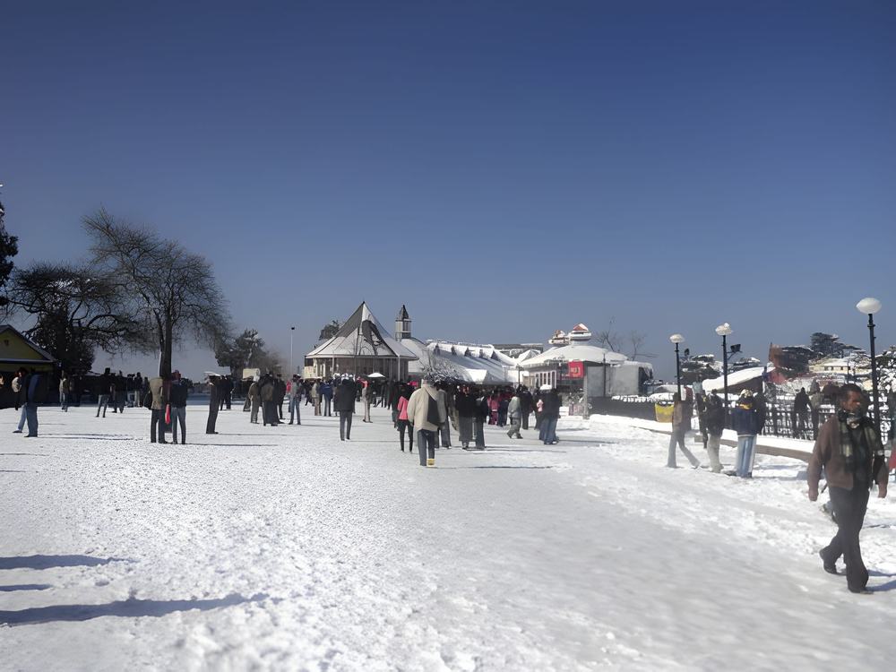 Shimla Kullu Manali Tour Package from Vadodara - Himachal Pradesh tour photo