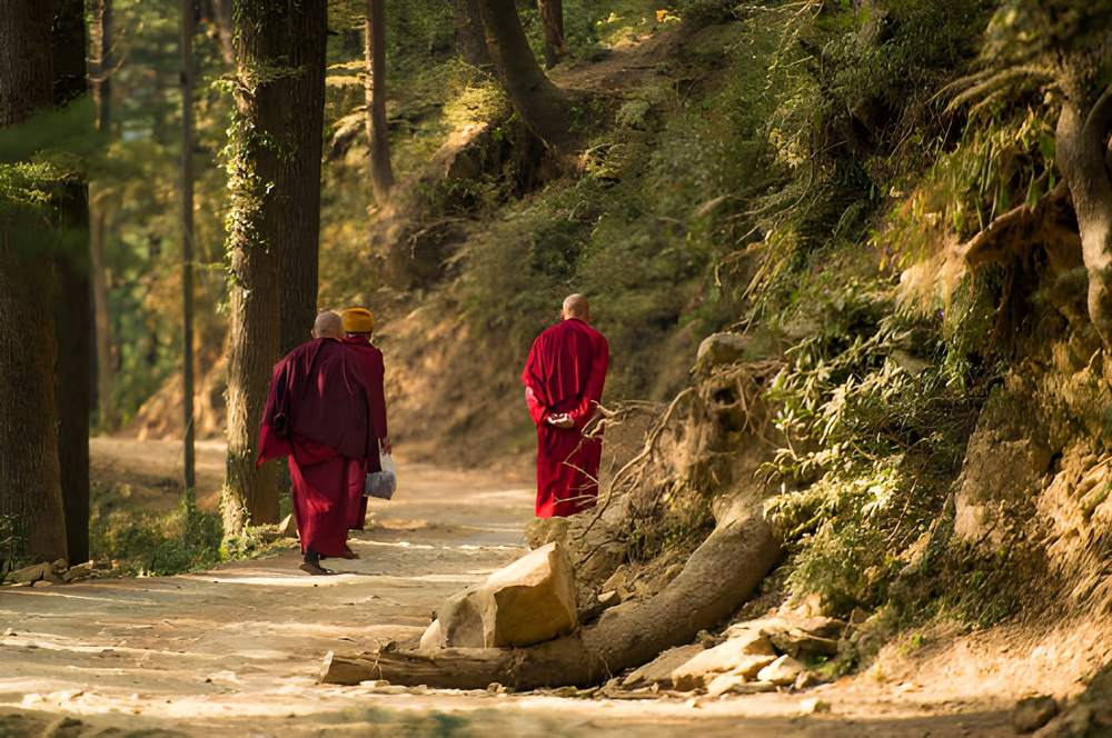 Shimla Manali Dharamshala Tour Package - Himachal Pradesh tour photo