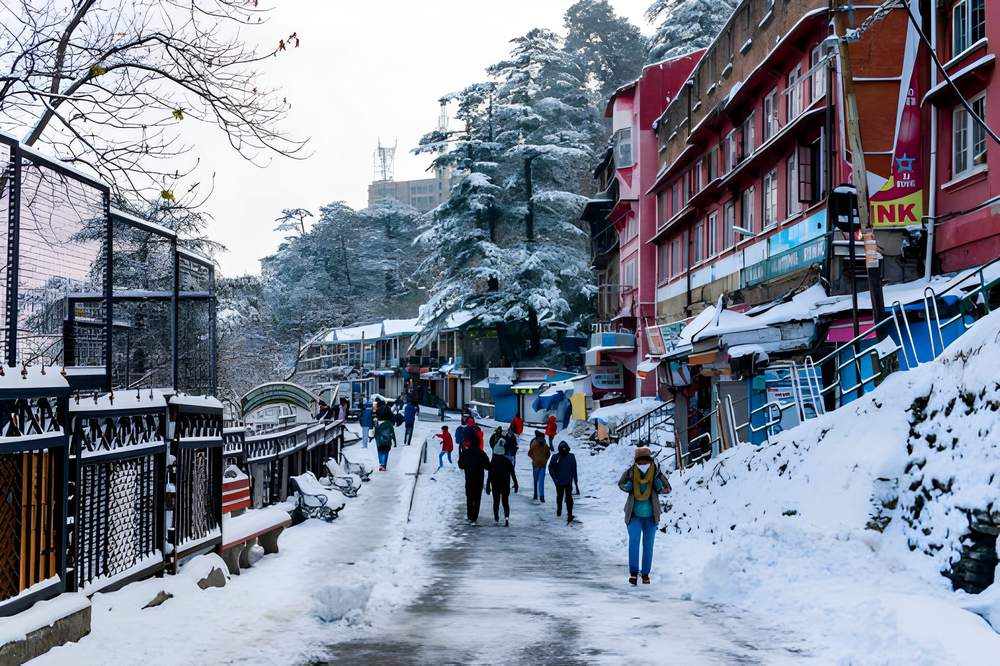 Shimla Manali Tour Package by Flight - Himachal Pradesh tour photo