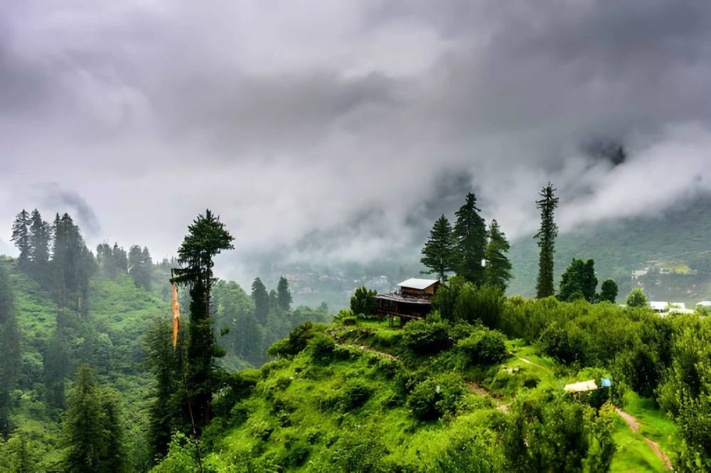 Shimla Manali Tour Package from Bangalore - Himachal Pradesh tour photo