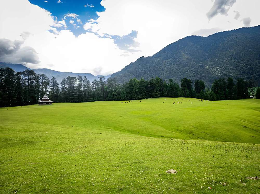 Shimla Manali Tour Package in May - Himachal Pradesh tour photo