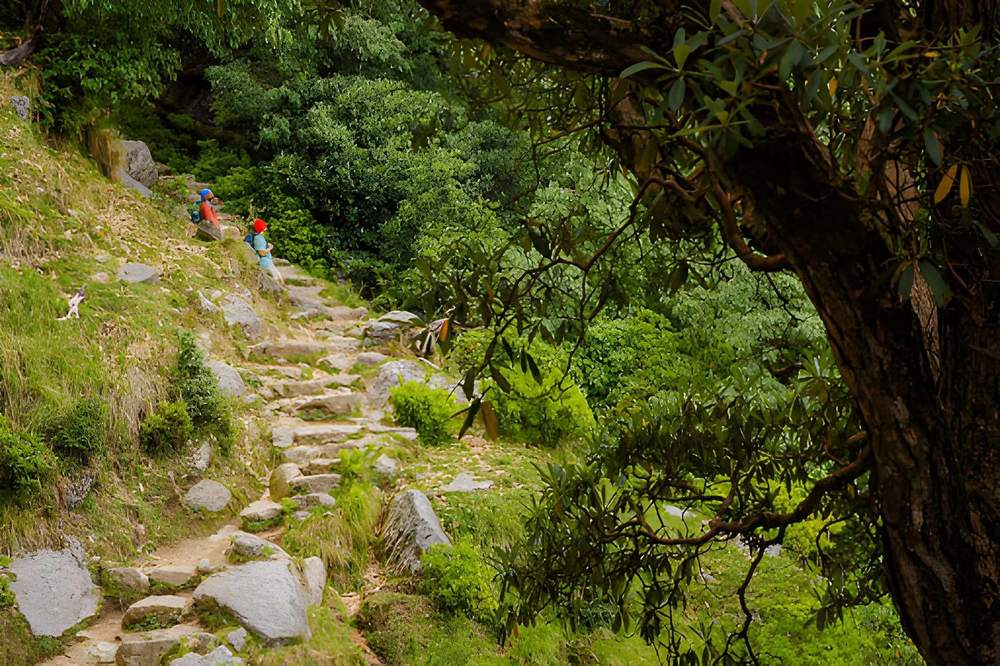 Shimla Manali Tour Package Price - Himachal Pradesh tour photo