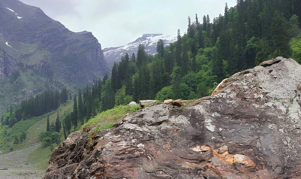 Shimla Manali Tour Package Solo - Himachal Pradesh tour photo