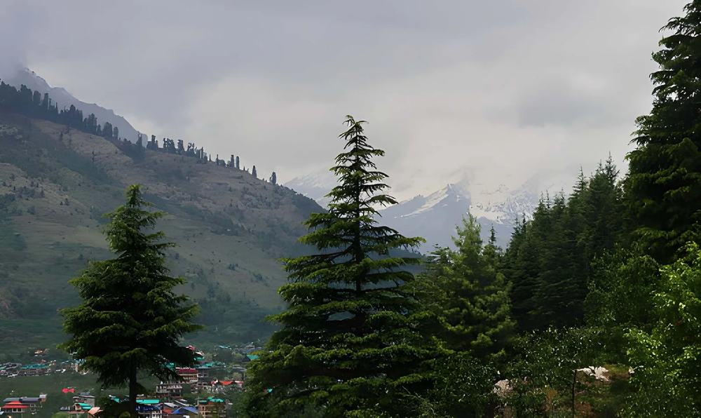 Shimla Manali Tour Package Vadodara - Himachal Pradesh tour photo
