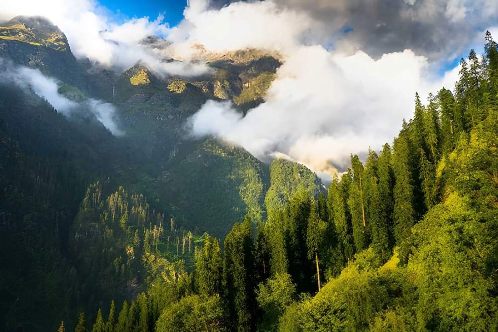 Shimla Manali Tour Package With Toy Train - Himachal Pradesh tour photo