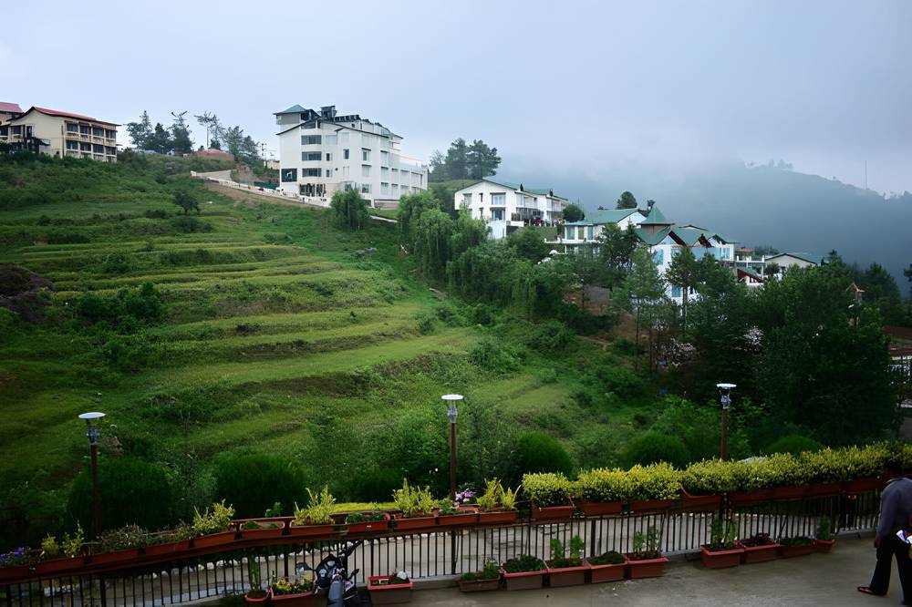 Shimla Tour Package for Couple - Himachal Pradesh tour photo