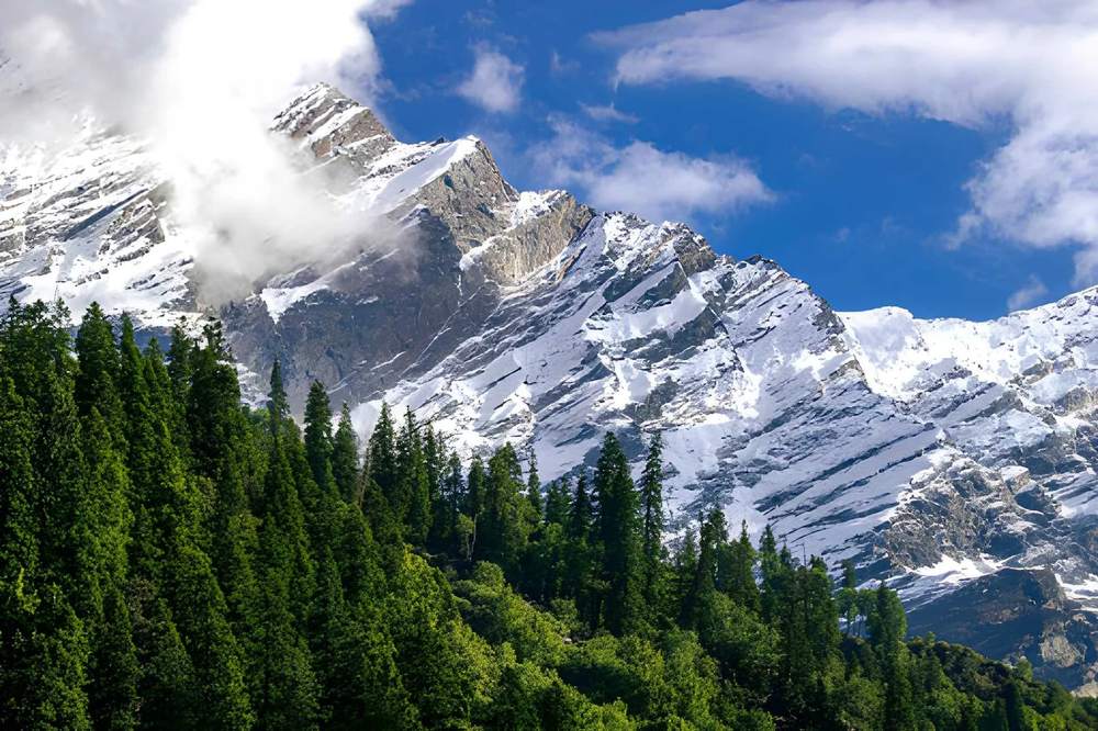 Shimla Kufri Tour Package - Himachal Pradesh tour photo