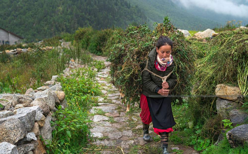 Spiti Valley Tour Packages from Bokaro - Himachal Pradesh tour photo
