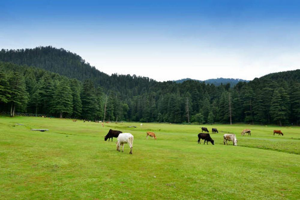 Spiti Valley Tour Packages from Kanpur - Himachal Pradesh tour photo